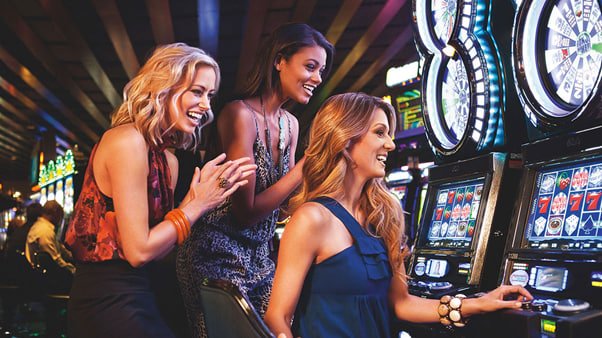 betvip com