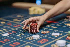 betvip com