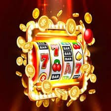 betvip com